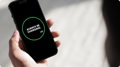 Charge Point Operator (CPO)