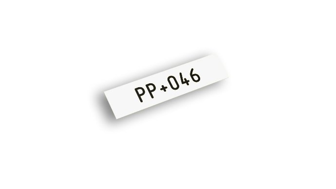 pp+.jpg