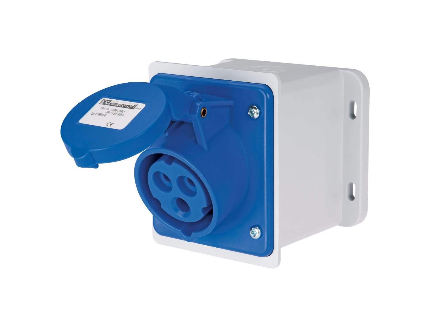 ec690501d.jpg