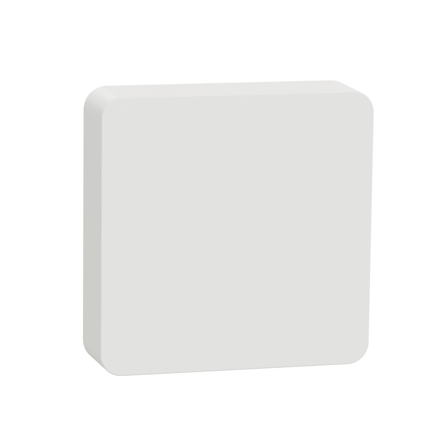 PDL593011_image_1.JPG