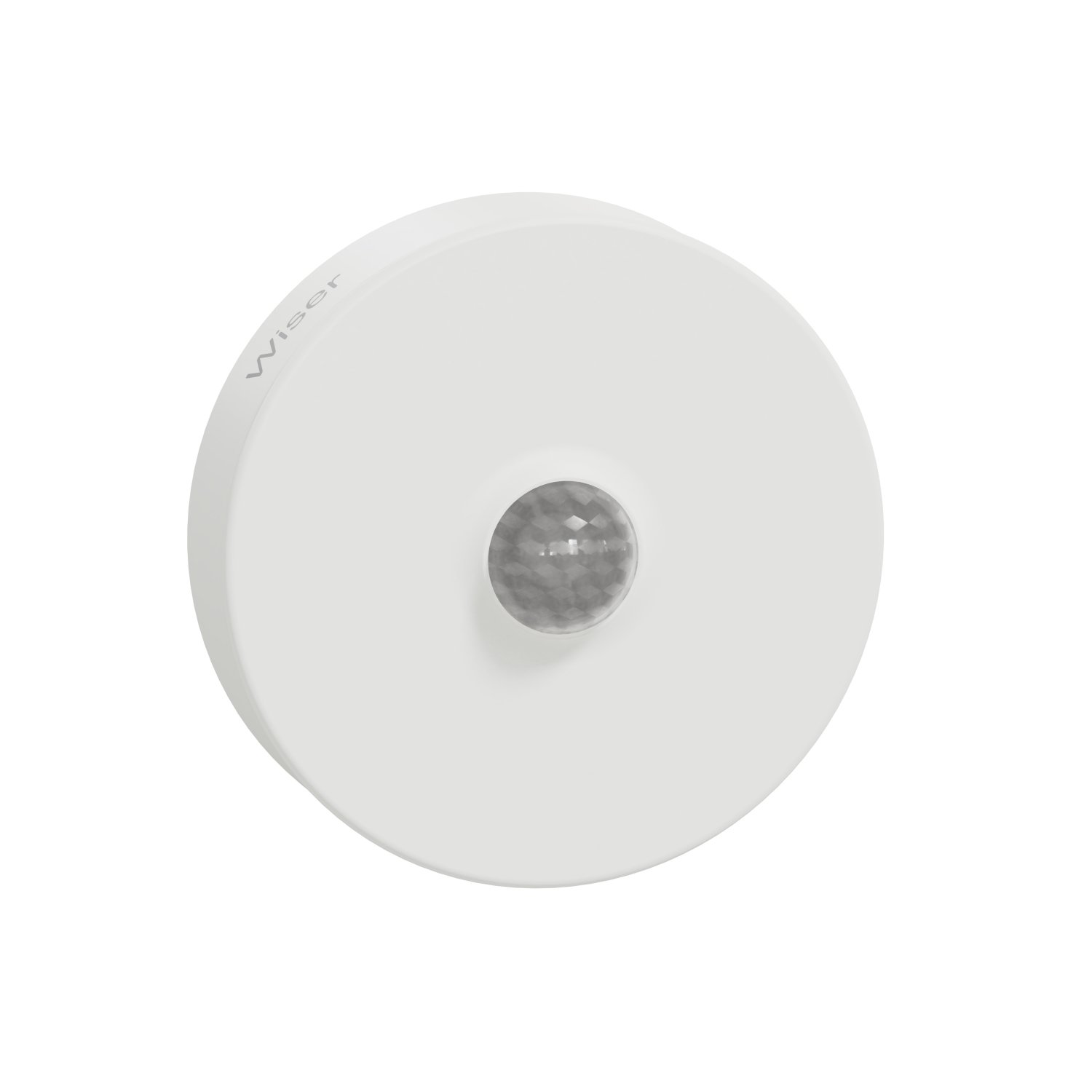 PDL595011_image_1.JPG