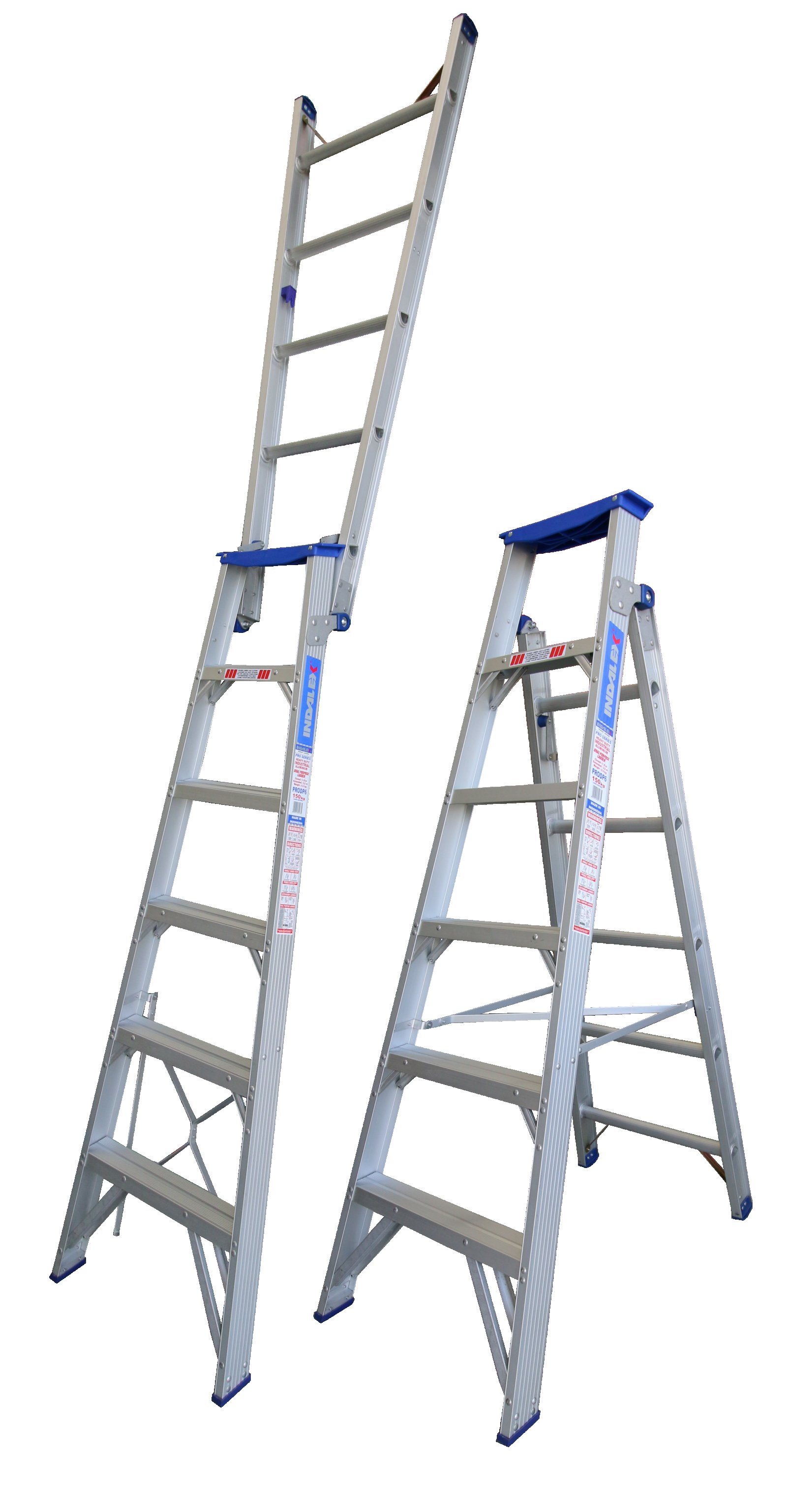 INPRODP6.png